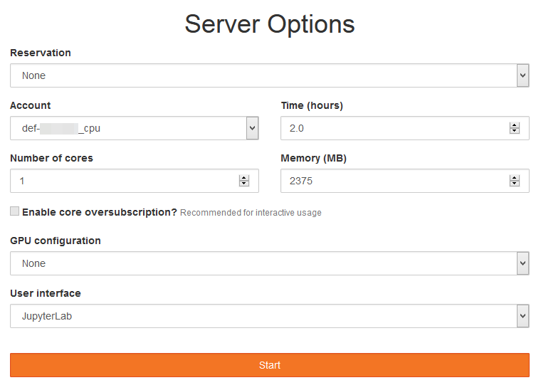 File:JupyterHub Server Options.png